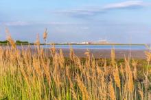 卡尔玛FastCharge™快速充电穿梭机在DP World伦敦口岸投入运行