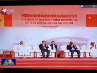 一把“金钥匙”开启非洲最大摔跤场，三一履带吊圆满完成助攻