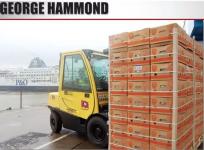 海斯特 降低更多损耗，完成更高效搬运