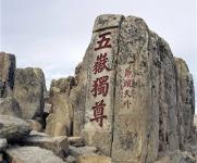 深耕山东数十载，徐工大吨位装载机领军行业！