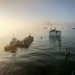 灵活应对，振华重工海外项目有序推进