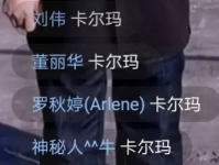 记录卡尔玛中重型叉车战队直播