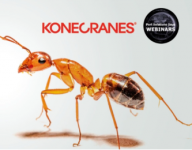 科尼  港口进化