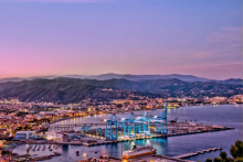 上海振华 瓦多港的蓝色“钢铁侠”