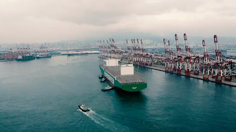 上海振华 船再大 我们也能hold住