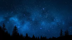 科尼对环境的承诺不止一小时，而在每时每刻