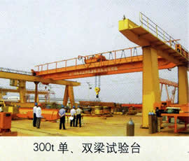 山东泰峰300T单双梁试验台