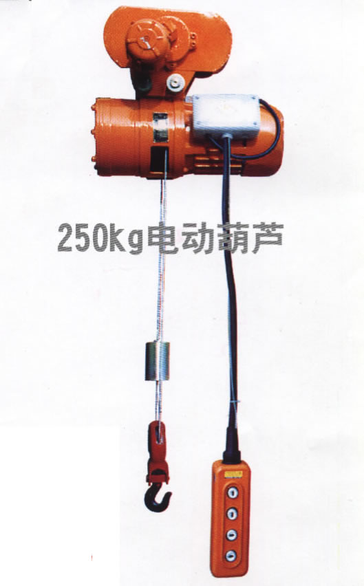 东莞市中250Kg原电动葫芦