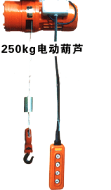 上海豪矿:250KG电动葫芦
