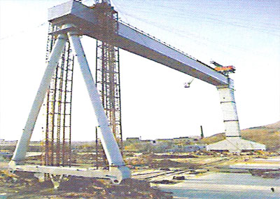 青岛胶州泰山100t 造船起重机 100t