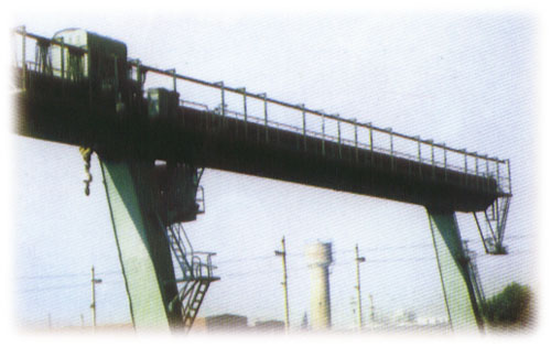 濮阳市信宇3-250吨通用桥式式起重机 3-250吨