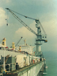 常州龙源32t-66m 船厂门座起重机 32t-66m