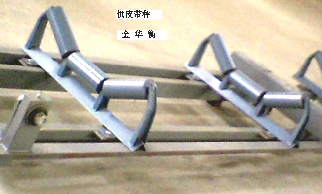 皮带秤 ICS