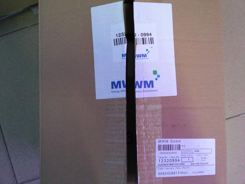 MWM/DEUTZ TCG2020V20点火装置 12320994