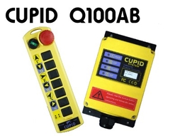 工业用遥控器 台湾进口CUPID Q100AB Q100AB