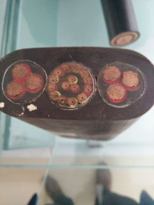 起重机扁平电缆 RVVG YFFBG