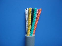 电动葫芦线 起重机手柄线 RVV1G RVV2G