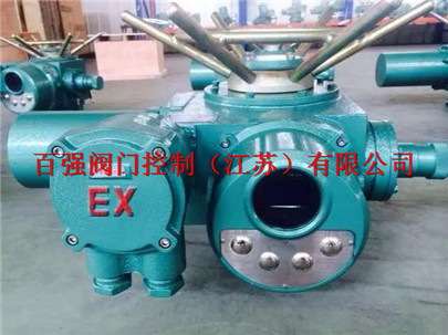 DZB250防爆阀门驱动装置供应商 DZB250